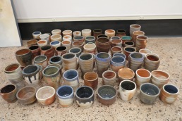 choosing cups